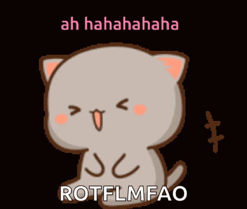 Lol Cute Kitty GIF