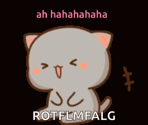 Lol Cute Kitty GIF