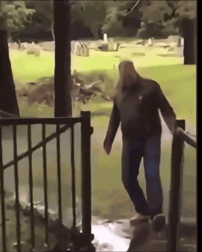 Lol Fall GIF