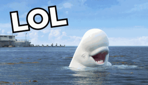 Lol Funny GIF