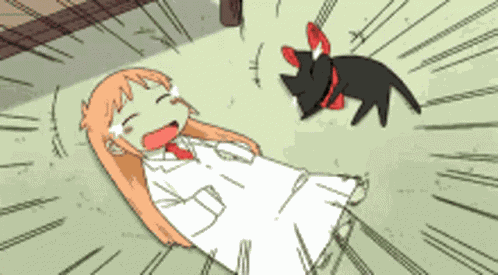 Lol Lmao GIF