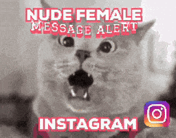 Lol What Omg Lol GIF