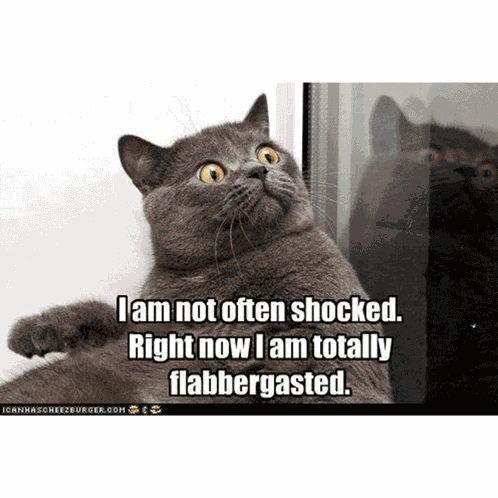 Lolcat Cat Meme Sci Fi Humor Cute Adorable Kitten Star Wars Trek Fun Cat Macro GIF