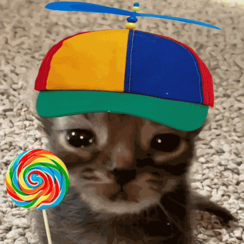 Lollipop Silly GIF