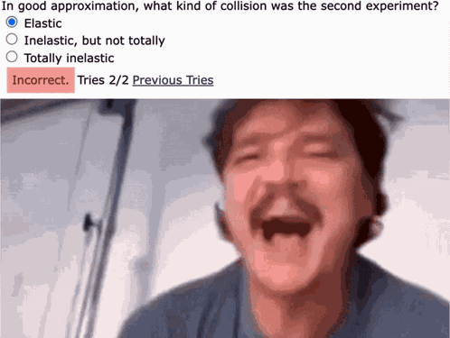 Lon Capa Loncapa GIF