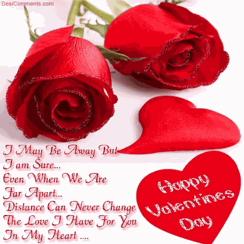 Long Distance Happy Valentines Day GIF