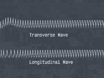 Longitudinal Wave Transverse Waves GIF