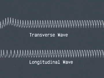 Longitudinal Wave Transverse Waves GIF