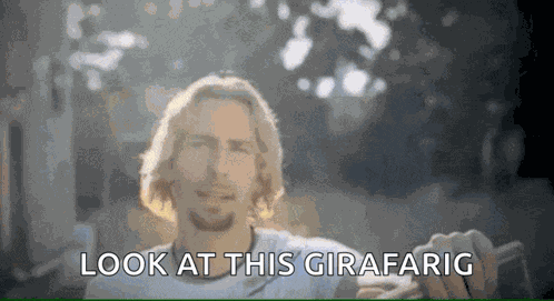 Look At This Photograph GIF