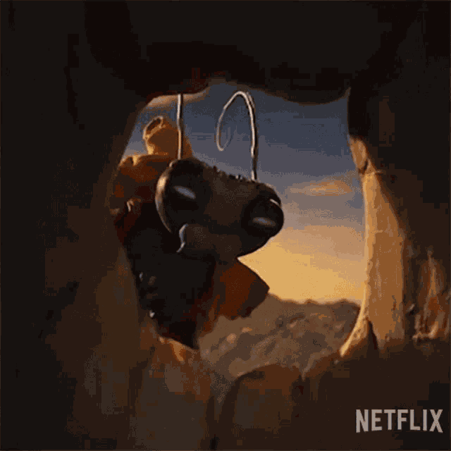 Look Inside Sebastian J Cricket GIF