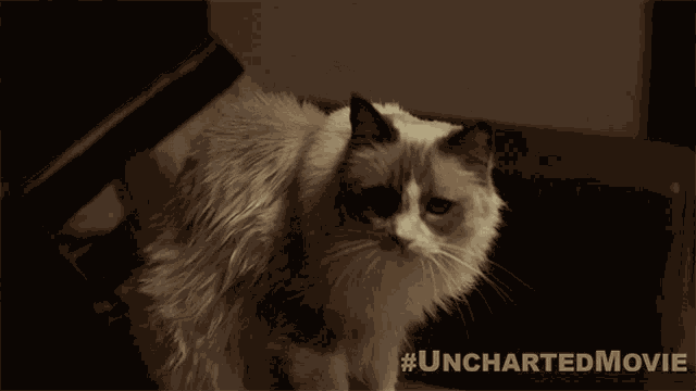 Look Uncharted GIF