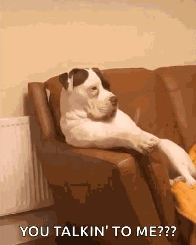 Looking Dog GIF
