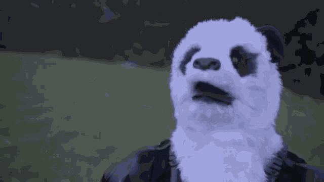 Looking Through Binoculars Looking GIF