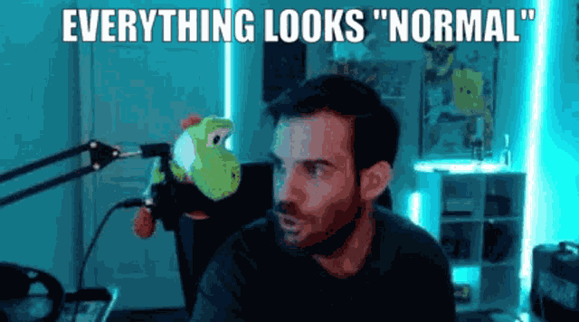 Looks Normal Shwubbrl GIF