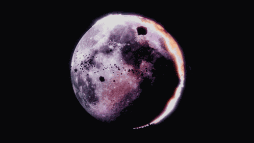 Loona Loona So What GIF