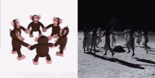 Loona Monkeys GIF