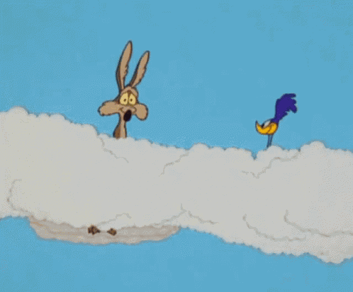 Looney Tunes Coyote GIF