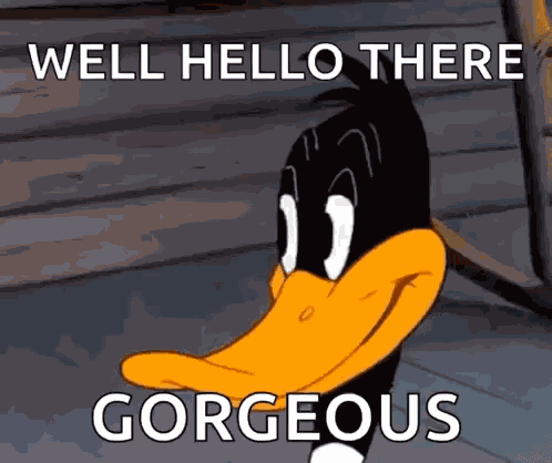 Looney Tunes Daffy Duck GIF