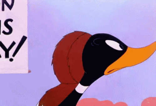 Looney Tunes Daffy Duck GIF
