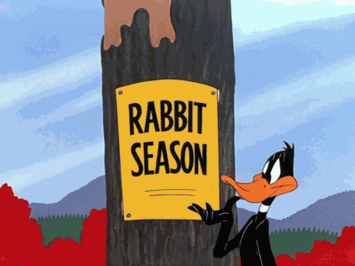 Looney Tunes Daffy Duck GIF