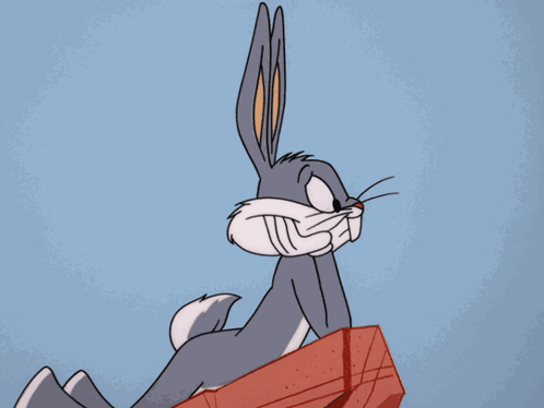 Looney Tunes Looney Toons GIF