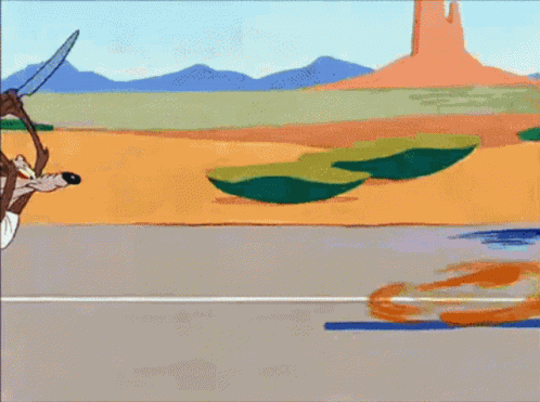Looney Tunes Road Runner GIF