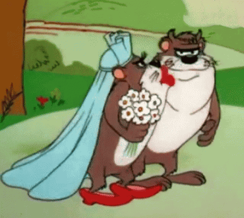 Looney Tunes Tasmanian Devil GIF