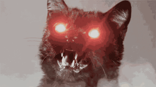 Lorandez1 GIF