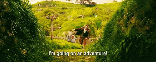 Lord Of The Rings Adventure GIF