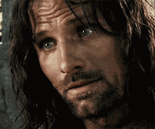 Lord Of The Rings Aragorn GIF