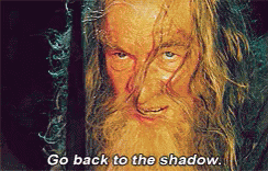 Lord Of The Rings Gandalf GIF