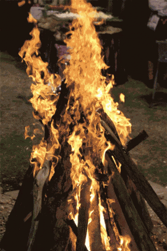 Lori Celebrations GIF