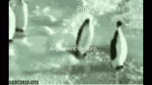 Lorn Argument GIF