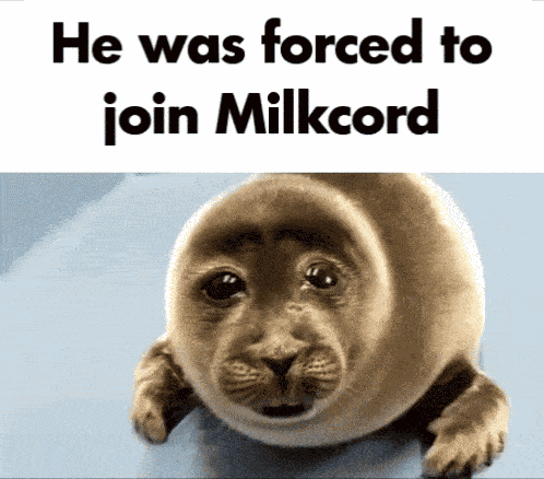 Loser-cord Milkcord GIF