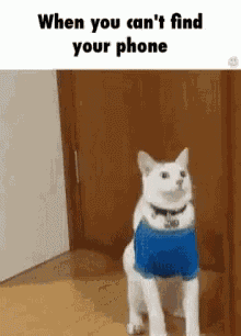 Lost Phone Cant Find Your Phone GIF