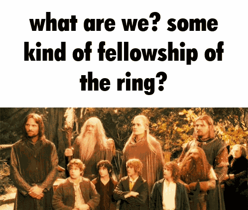 Lotr Fellowship GIF