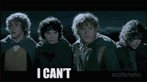 Lotr Lord Of The Rings GIF