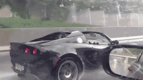 Lotus Raining GIF