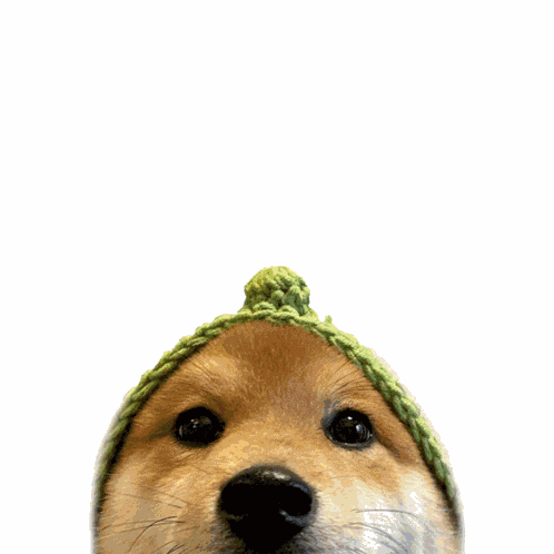 Loucoinonsol Lou Woohoo GIF