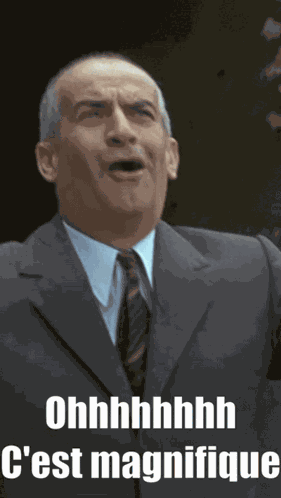 Louis De Funes Oh C'Est Magnifique GIF