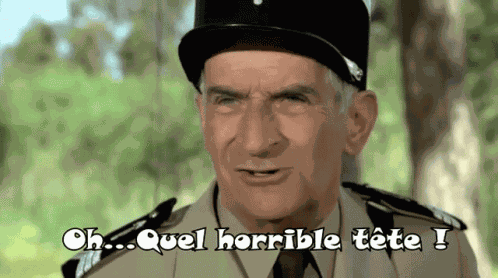 Louis De Funes Quel Horrible Tête GIF