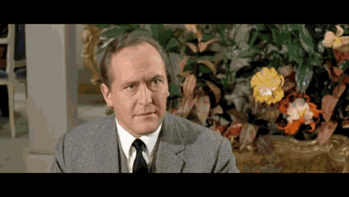 Louis Restaurant GIF