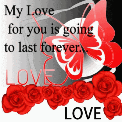Love Butterly GIF