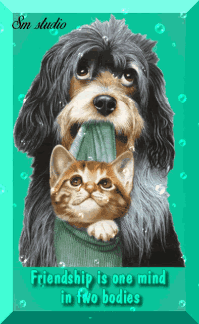 Love Friendship Is One Mind In Two Bodies GIF