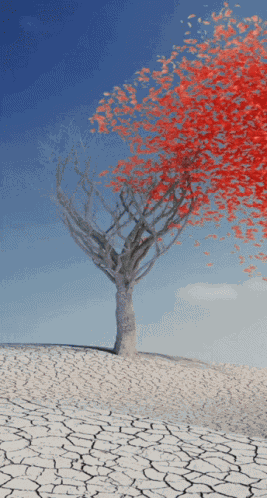 Love Heart GIF