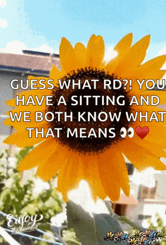 Love I Love You GIF