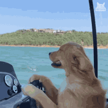 Love GIF