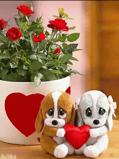 Love GIF