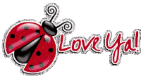 Love Ya Ladybird Sticker