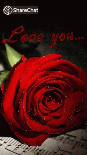 Love You आईलवयू GIF